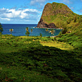 Secret Cove 