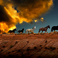 Wild Horses at Sunset