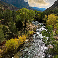 Zion River